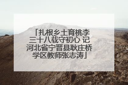 扎根乡土育桃李 三十八载守初心 记河北省宁晋县耿庄桥学区教师张志涛
