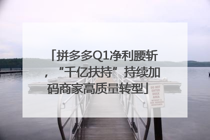 拼多多Q1净利腰斩，“千亿扶持”持续加码商家高质量转型