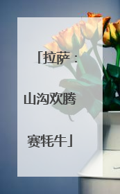 拉萨：山沟欢腾赛牦牛