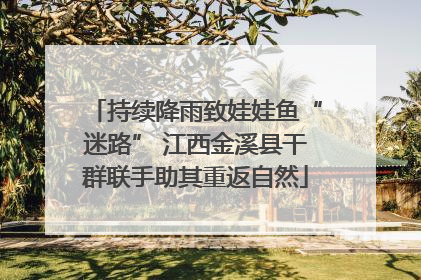 持续降雨致娃娃鱼“迷路” 江西金溪县干群联手助其重返自然