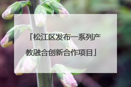 松江区发布一系列产教融合创新合作项目