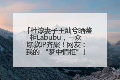 杜淳妻子王灿兮晒整柜Labubu，一众爆款IP齐聚！网友：我的 “梦中情柜”
