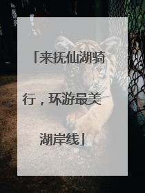 来抚仙湖骑行，环游最美湖岸线