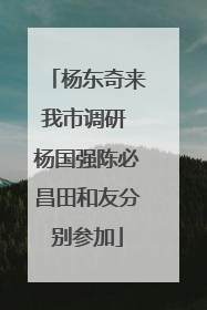 杨东奇来我市调研 杨国强陈必昌田和友分别参加