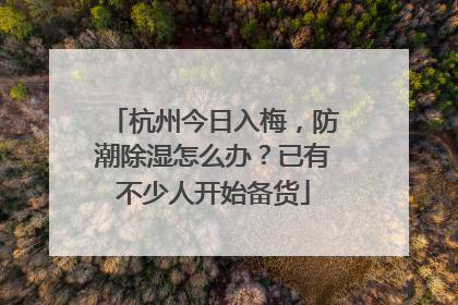 杭州今日入梅，防潮除湿怎么办？已有不少人开始备货