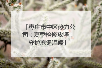 枣庄市中区热力公司：夏季检修攻坚，守护寒冬温暖
