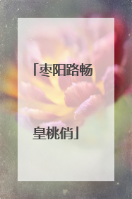 枣阳路畅皇桃俏