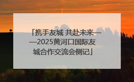 携手友城 共赴未来——2025黄河口国际友城合作交流会侧记