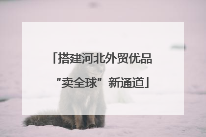 搭建河北外贸优品“卖全球”新通道
