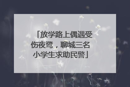 放学路上偶遇受伤夜鹭，聊城三名小学生求助民警