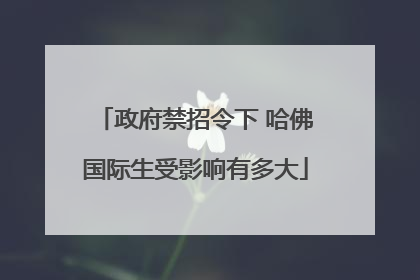 政府禁招令下 哈佛国际生受影响有多大