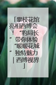 攀枝花馆亮相西博会！“豹局长”带你体验“暖暖花城”独特魅力｜西博视界