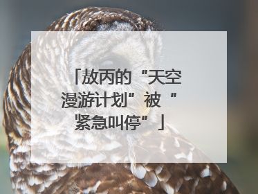 敖丙的“天空漫游计划”被“紧急叫停”