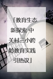 教育生态新探索 中关村三小跨龄教育实践引热议