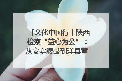 文化中国行｜陕西检察“益心为公”：从安塞腰鼓到洋县黄酒的非遗守护