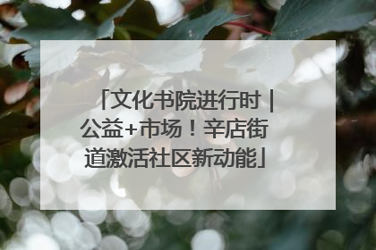 文化书院进行时｜公益+市场！辛店街道激活社区新动能