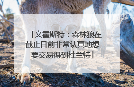 文霍斯特：森林狼在截止日前非常认真地想要交易得到杜兰特