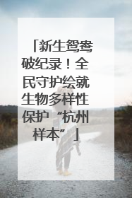 新生鸳鸯破纪录！全民守护绘就生物多样性保护“杭州样本”