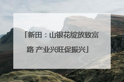 新田：山银花绽放致富路 产业兴旺促振兴