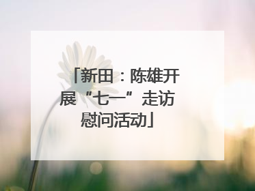 新田：陈雄开展“七一”走访慰问活动