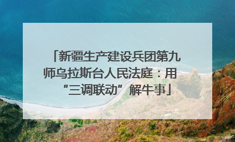 新疆生产建设兵团第九师乌拉斯台人民法庭：用“三调联动”解牛事