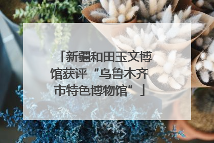新疆和田玉文博馆获评“乌鲁木齐市特色博物馆”