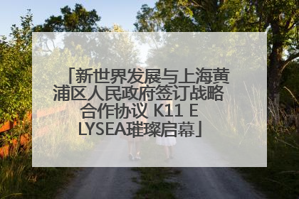新世界发展与上海黄浦区人民政府签订战略合作协议 K11 ELYSEA璀璨启幕
