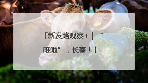 新发路观察+｜“哦啦”，长春！