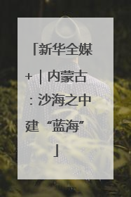 新华全媒+｜内蒙古：沙海之中建“蓝海”