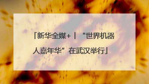 新华全媒+丨“世界机器人嘉年华”在武汉举行