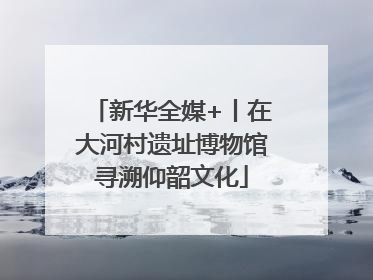 新华全媒+丨在大河村遗址博物馆寻溯仰韶文化