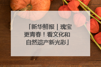 新华鲜报｜瑰宝更青春！看文化和自然遗产新光彩