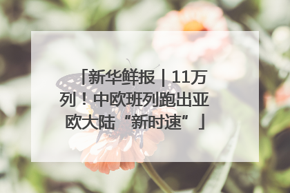 新华鲜报｜11万列！中欧班列跑出亚欧大陆“新时速”