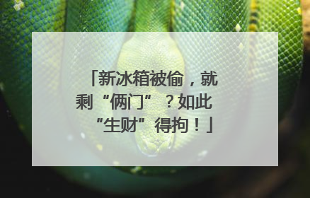 新冰箱被偷，就剩“俩门”？如此“生财”得拘！