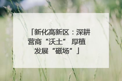 新化高新区：深耕营商“沃土” 厚植发展“磁场”