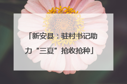 新安县：驻村书记助力“三夏”抢收抢种