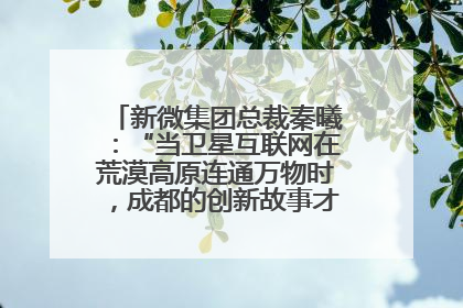新微集团总裁秦曦：“当卫星互联网在荒漠高原连通万物时，成都的创新故事才真正开始”