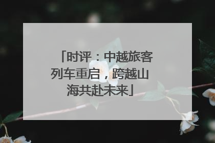 时评：中越旅客列车重启，跨越山海共赴未来