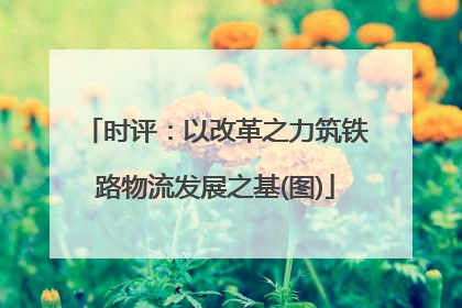 时评：以改革之力筑铁路物流发展之基(图)