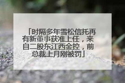 时隔多年雪松信托再有新董事获准上任，来自二股东江西金控，前总裁上月刚被罚