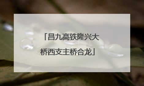 昌九高铁隆兴大桥西支主桥合龙