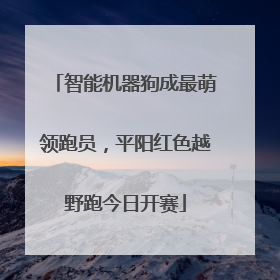 智能机器狗成最萌领跑员，平阳红色越野跑今日开赛