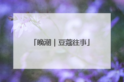 晚潮｜豆蔻往事
