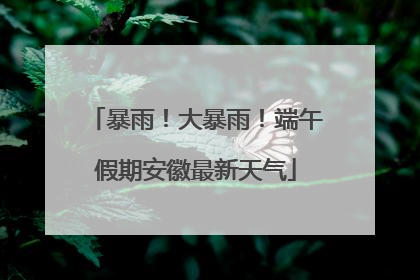 暴雨！大暴雨！端午假期安徽最新天气