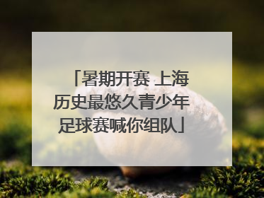暑期开赛 上海历史最悠久青少年足球赛喊你组队
