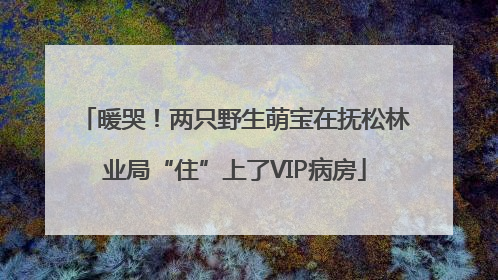 暖哭！两只野生萌宝在抚松林业局“住”上了VIP病房