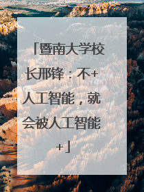 暨南大学校长邢锋：不+人工智能，就会被人工智能+