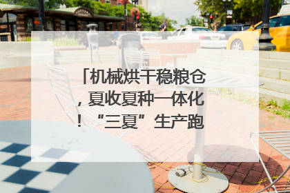 机械烘干稳粮仓，夏收夏种一体化！“三夏”生产跑出加速度｜麦报
