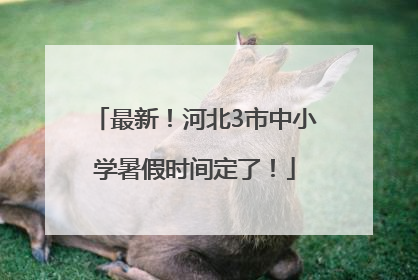 最新！河北3市中小学暑假时间定了！