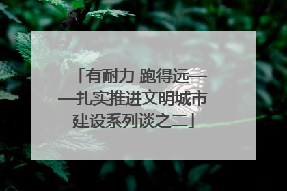 有耐力 跑得远——扎实推进文明城市建设系列谈之二